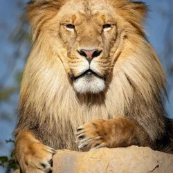 Granby Zoo (Zoo de Granby) - Granby