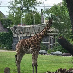 Granby Zoo (Zoo de Granby) - Granby