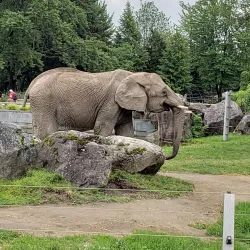 Granby Zoo (Zoo de Granby) - Granby