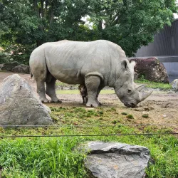 Granby Zoo (Zoo de Granby) - Granby