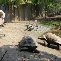 Granby Zoo (Zoo de Granby) - Granby