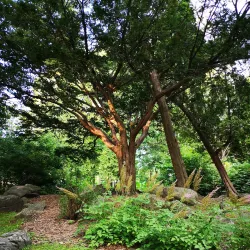 Parc des Vétérans - Granby