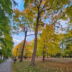 Parc Victoria - Granby