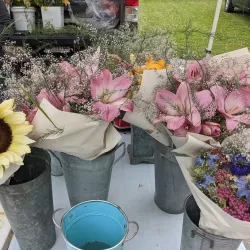 Grand Bend Farmers' Market - Grand Bend