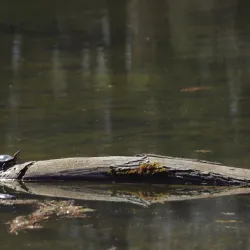 Lake Huron Waterfront Trail - Grand Bend