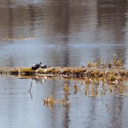 Lake Huron Waterfront Trail - Grand Bend