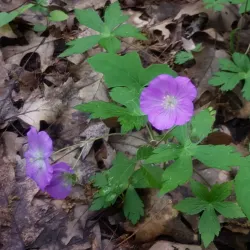 Lake Huron Waterfront Trail - Grand Bend