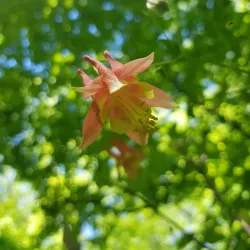 Lake Huron Waterfront Trail - Grand Bend