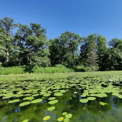 Pinery Provincial Park - Grand Bend