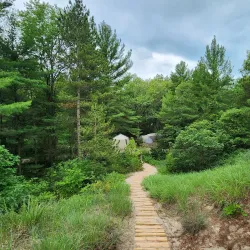 Pinery Provincial Park - Grand Bend