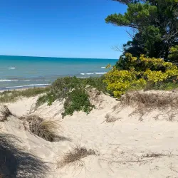Pinery Provincial Park - Grand Bend