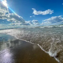 Pinery Provincial Park - Grand Bend