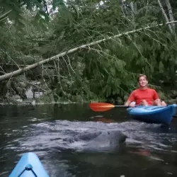 Eagle River Falls - Grand Falls-Windsor