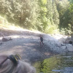 Eagle River Falls - Grand Falls-Windsor