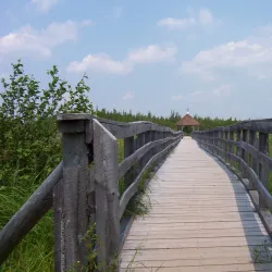 Exploit River Trail - Grand Falls-Windsor