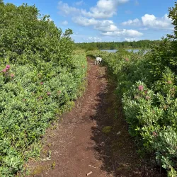 Exploit River Trail - Grand Falls-Windsor