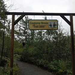 Exploit River Trail - Grand Falls-Windsor