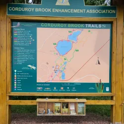 Exploit River Trail - Grand Falls-Windsor