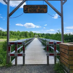 Exploit River Trail - Grand Falls-Windsor