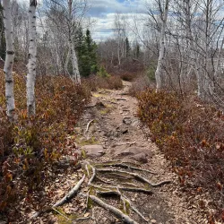 Exploit River Trail - Grand Falls-Windsor