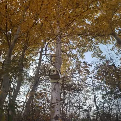 Exploit River Trail - Grand Falls-Windsor