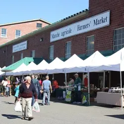 Grand Falls-Windsor Farmers Market - Grand Falls-Windsor
