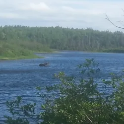 Grand Falls-Windsor Golf Club - Grand Falls-Windsor