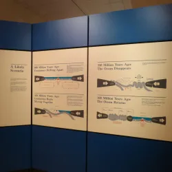 Mary March Provincial Museum - Grand Falls-Windsor