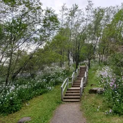 Victoria Park - Grand Falls-Windsor