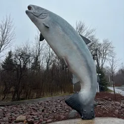 Victoria Park - Grand Falls-Windsor