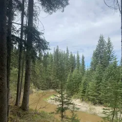 Bear Creek Trail - Grande Prairie