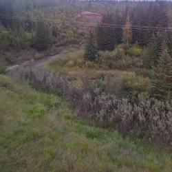 Bear Creek Trail - Grande Prairie