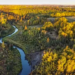 Bear Creek Trail - Grande Prairie
