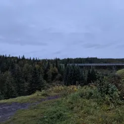 Bear Creek Trail - Grande Prairie