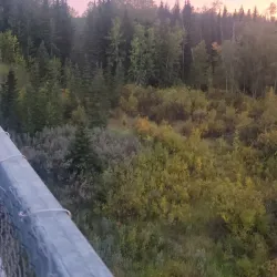 Bear Creek Trail - Grande Prairie