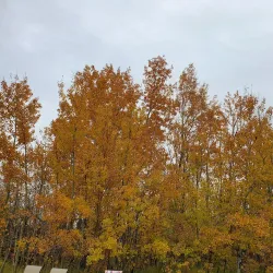 Crystal Lake Park - Grande Prairie