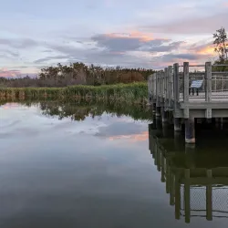 Crystal Lake Park - Grande Prairie