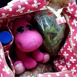 Grande Prairie Farmers' Market - Grande Prairie