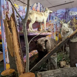 Grande Prairie Museum - Grande Prairie