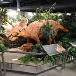 Heritage Discovery Centre - Grande Prairie