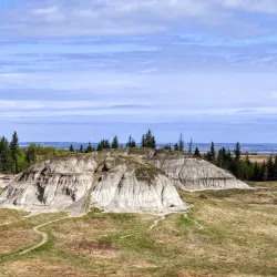 Kleskun Hill Natural Area - Grande Prairie