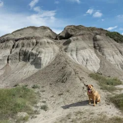 Kleskun Hill Natural Area - Grande Prairie