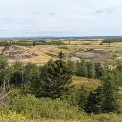 Kleskun Hill Natural Area - Grande Prairie