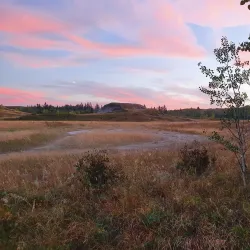 Kleskun Hill Natural Area - Grande Prairie
