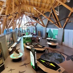 Philip J. Currie Dinosaur Museum - Grande Prairie