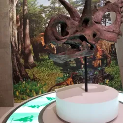 Philip J. Currie Dinosaur Museum - Grande Prairie