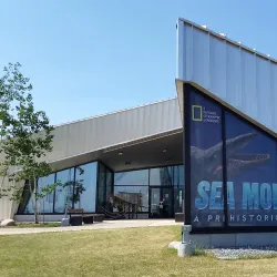 Philip J. Currie Dinosaur Museum - Grande Prairie