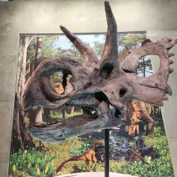 Philip J. Currie Dinosaur Museum - Grande Prairie