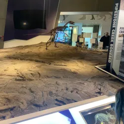 Philip J. Currie Dinosaur Museum - Grande Prairie