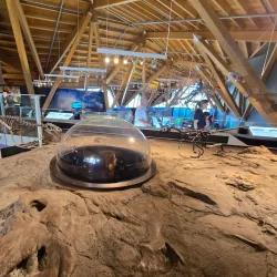 Philip J. Currie Dinosaur Museum - Grande Prairie